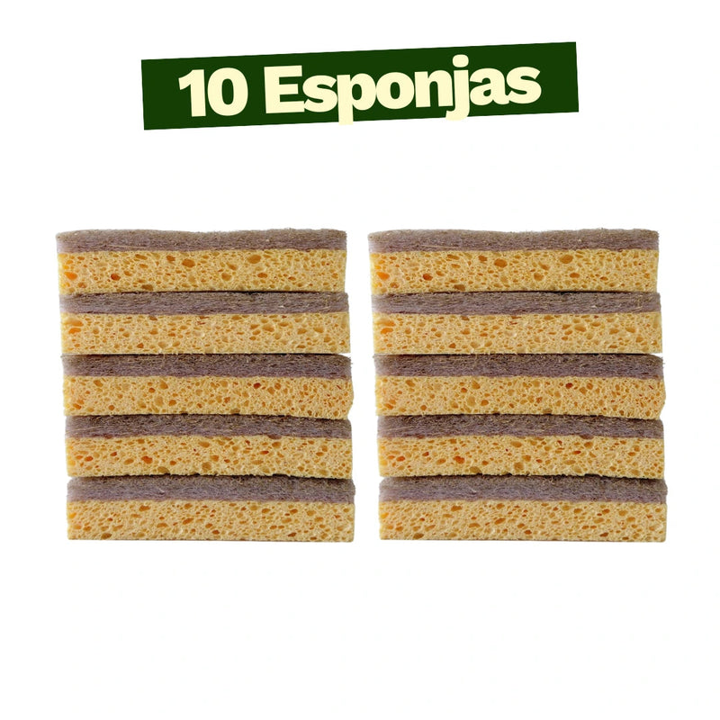 Kit Raiz Eco - 10 esponjas biodegradáveis