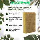 Kit Raiz Eco - 10 esponjas biodegradáveis