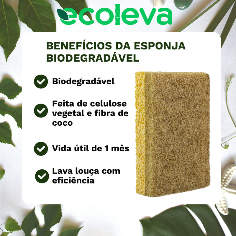 Kit Raiz Eco - 10 esponjas biodegradáveis